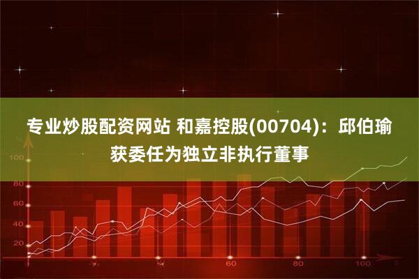 专业炒股配资网站 和嘉控股(00704)：邱伯瑜获委任为独立非执行董事