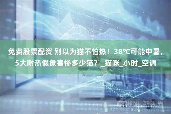 免费股票配资 别以为猫不怕热！38℃可能中暑，5大耐热假象害惨多少猫？_猫咪_小时_空调