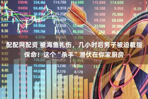 配配网配资 被海鱼扎伤，几小时后男子被迫截指保命！这个“杀手”潜伏在你家厨房
