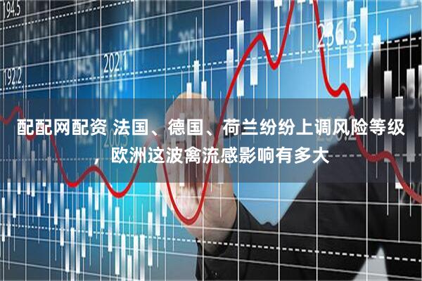 配配网配资 法国、德国、荷兰纷纷上调风险等级，欧洲这波禽流感影响有多大