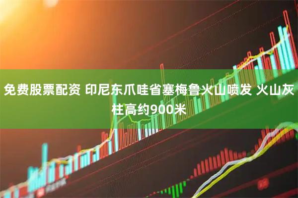 免费股票配资 印尼东爪哇省塞梅鲁火山喷发 火山灰柱高约900米