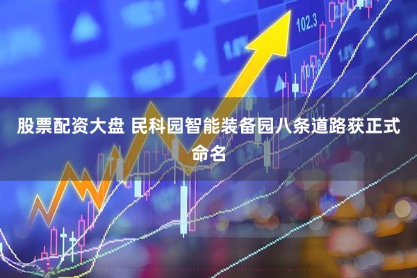股票配资大盘 民科园智能装备园八条道路获正式命名